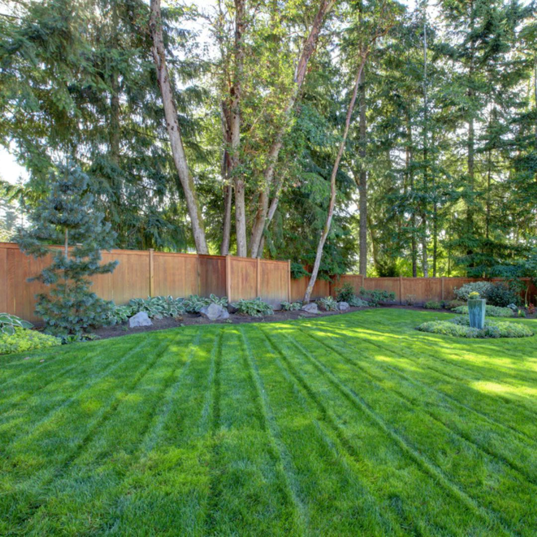 4 deciduous trees, thomas greenhouse